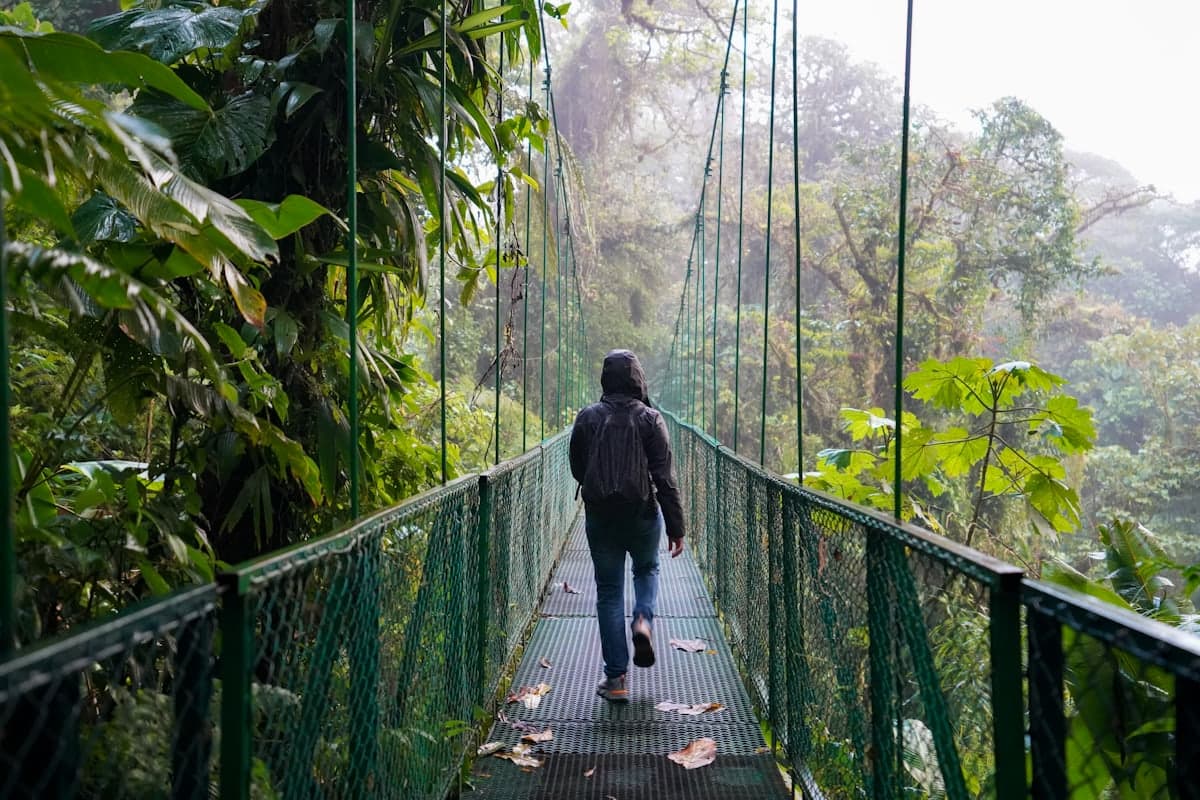 Puente colgante sobre el bosque nuboso de Costa Rica